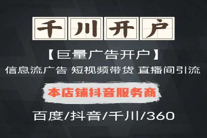 某电商平台的SEM策略与效果展示